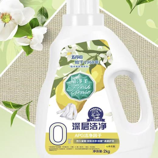 植净美 山茶花香深层洁净洗衣液2kg*3瓶装 商品图1