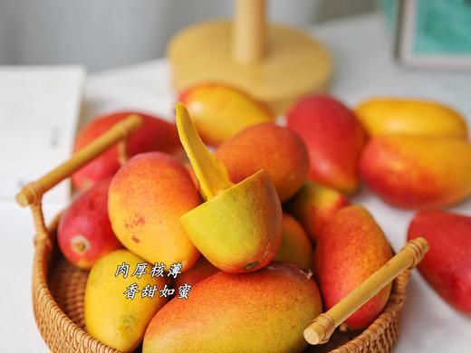 【树上熟贵妃芒】肉厚核薄 甜香满溢，甜度可达15-20度，新鲜采摘，自然成熟 CC 商品图2
