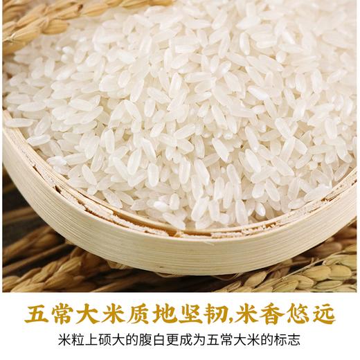 【包邮】纯正稻花香 五常大米  五常核心产区种植 五常市直发 10斤装 商品图3