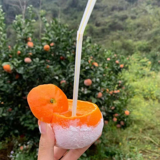 广西茂谷柑（脏脏柑）新鲜沃柑橘新鲜到爆！皮薄肉嫩，汁多味甜，吃一口就爱上！ 商品图7
