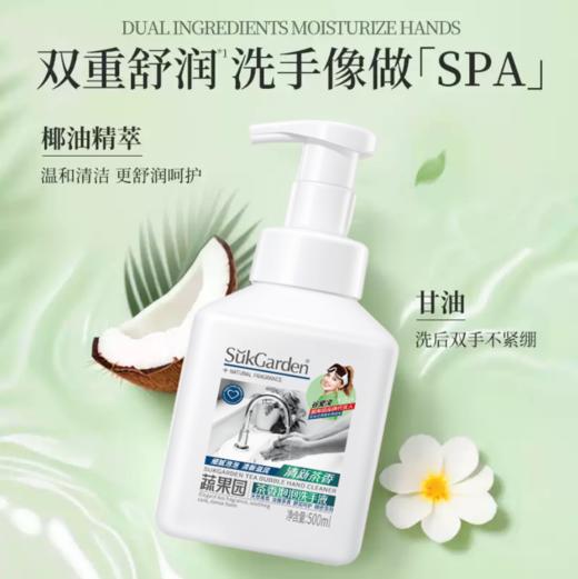 蔬果园茶香泡泡洗手液 清新滋润型500ml-5664新老包装随机发货 商品图2