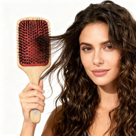 【秒杀价已调 直接拍】正品授权Theory  负离子 猪鬃气垫梳礼盒