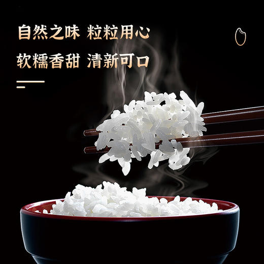 【宜昌助农馆】瓦仓村 长粒大米原种稻米真空装 5kg 商品图3