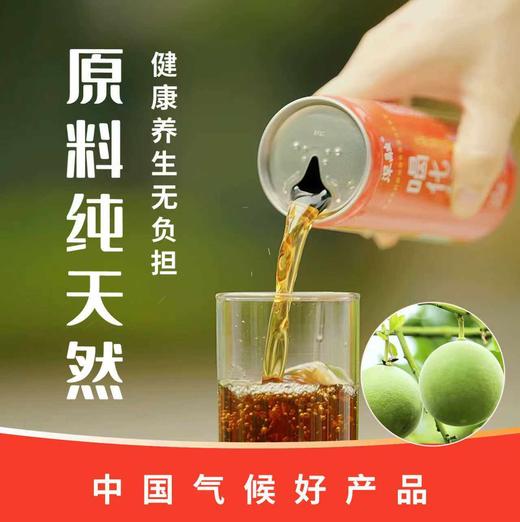 【两会展示】化橘红桑叶凉茶植物饮料 润喉去火 清凉生津 解暑纯草本配方 商品图1