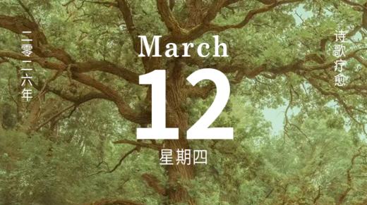 把一棵树，种在我们心里 商品图0