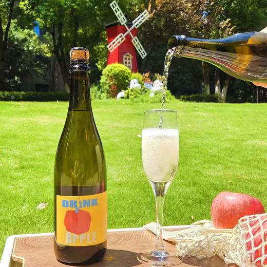 【新品】中国粉墨初品 Fenmo粉墨初品苹果起泡酒750ml 商品图0