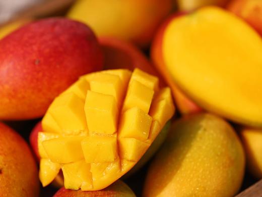 【树上熟贵妃芒】肉厚核薄 甜香满溢，甜度可达15-20度，新鲜采摘，自然成熟 CC 商品图0