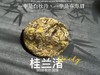 [好茶来了]《桂兰渚》2025春寿眉饼，一半是白牡丹一半是春寿眉的，茶饼，花香更艳，香气更足 商品缩略图0