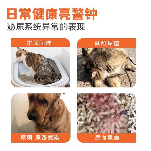 澳滋麦泌雅灵泌尿猫咪狗狗养护膀胱壁舒缓情绪利水通淋营养微乳剂猫条 商品图1