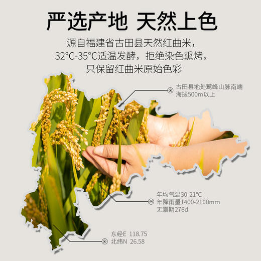 【养生佳品】古田 红曲米 食物他汀 食疗养生 熬粥 泡茶 食用色素 烘焙 400g/罐 包邮 商品图3