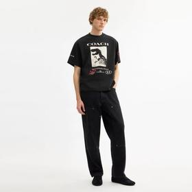 点此购买 蔻驰春夏季男女情侣款时尚恐龙图案短袖T恤 ssy 341937