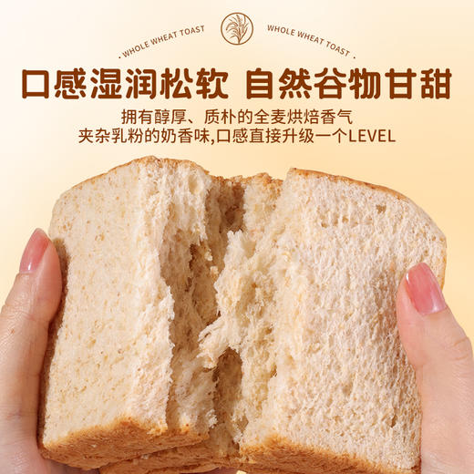 【新品】全麦吐司300g（6袋） 商品图3