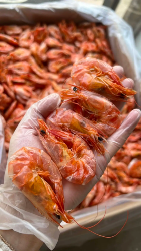 &  人气爆款🔥即食小虾干，剥壳即食又香又甜😋