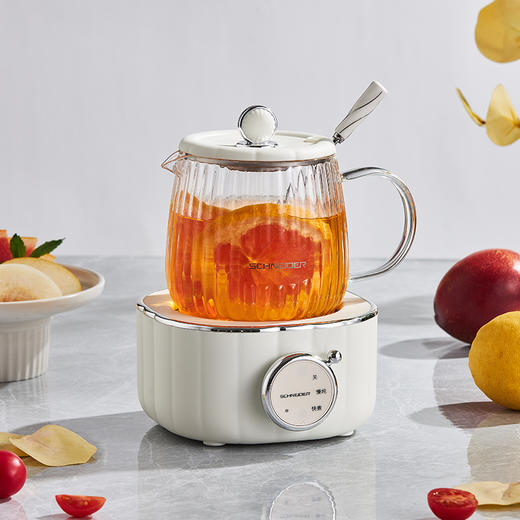 电炖杯 SWK-XDBL01 商品图0