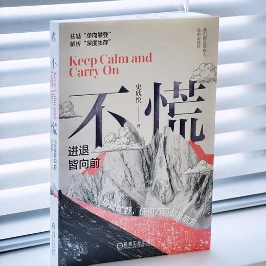 不慌 进退皆向前 史欣悦 缓解焦虑 迷茫 个人成长 情绪 成功励志自我调节自我完善书籍 商品图2