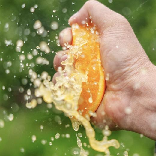 🍊清江晚橙 · 来自神农架山脚下的橙子  · 肉质细嫩 · 汁水充沛 · 橙香浓郁 商品图0