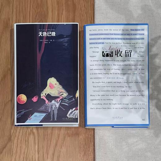 天色已晚  爱尔兰短篇小说女王克莱尔·吉根新作 马爱农全新译本 商品图4