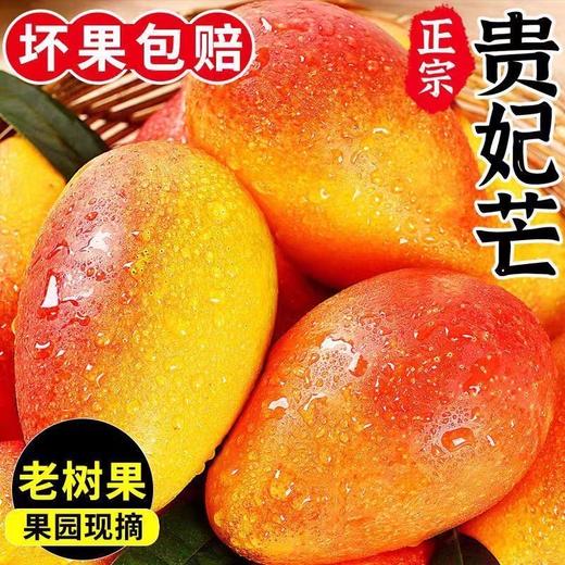 【抢鲜吃❗️19.9秒5斤🔥海南贵妃芒】爆甜多汁，细腻滑嫩，皮薄核小，正宗水果芒果大非大青芒玉芒核薄多汁味甜 商品图0