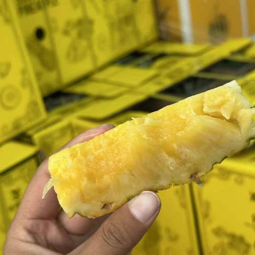 冲浪凤梨（约2.2斤）要切备注  商品图4