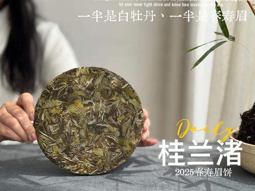 [好茶来了]《桂兰渚》2025春寿眉饼，一半是白牡丹一半是春寿眉的，茶饼，花香更艳，香气更足 商品图3