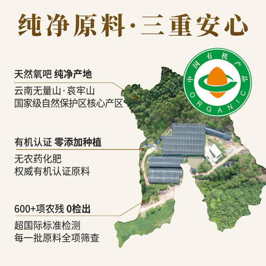 云景天芝牌破壁灵芝孢子粉30g/盒装·浙江大学自研技术·水培灵芝·0农残·云南高原灵芝栽培基地·含量高（顺丰包邮） 商品图4