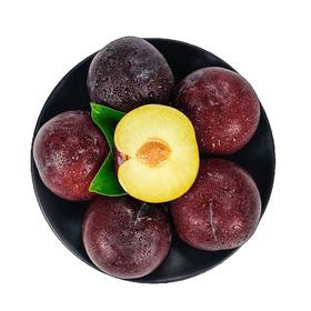 智利红布林李子（550±50g）