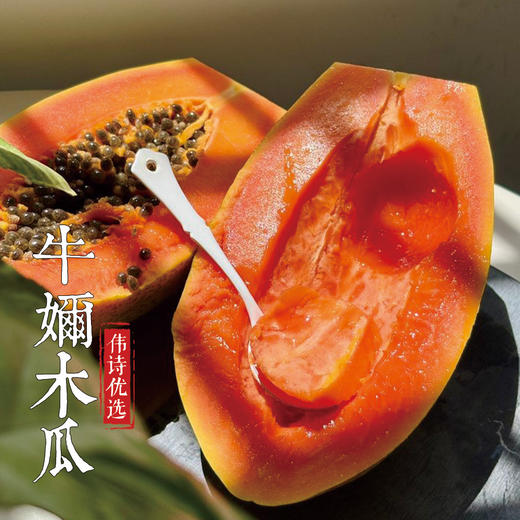 伟诗优选 | 牛奶木瓜 商品图2