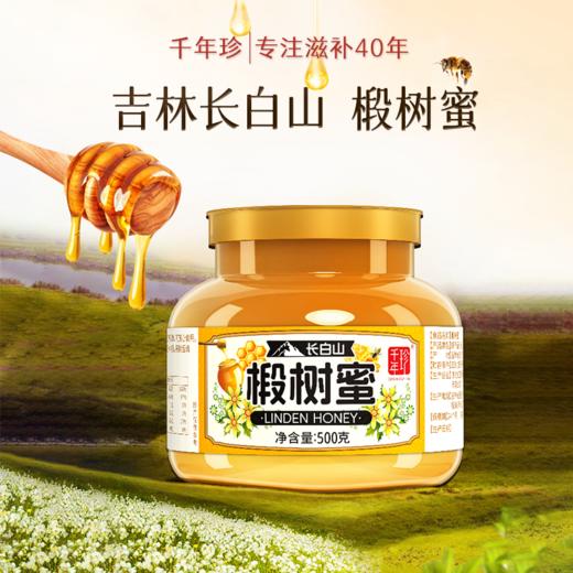  500g/罐*3罐椴树蜜 商品图0