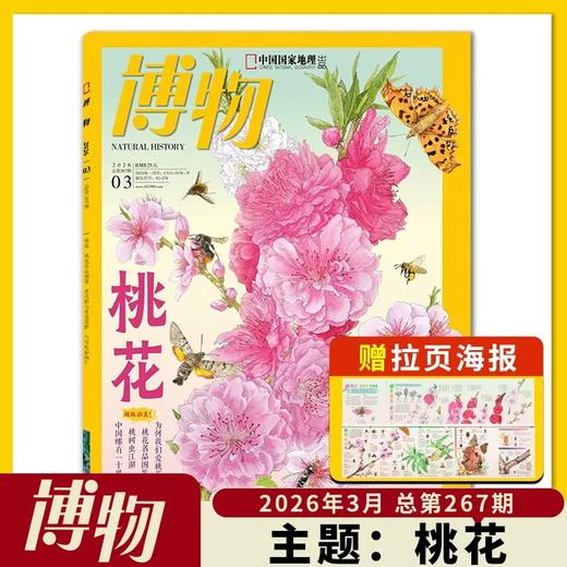 《博物》 自然人文综合知识类杂志 已更新至2026年四月刊（第4期） 《中国国家地理》青春版 科普百科 商品图1