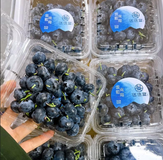 蓝莓（125g/盒）