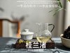 [好茶来了]《桂兰渚》2025春寿眉饼，一半是白牡丹一半是春寿眉的，茶饼，花香更艳，香气更足 商品缩略图10