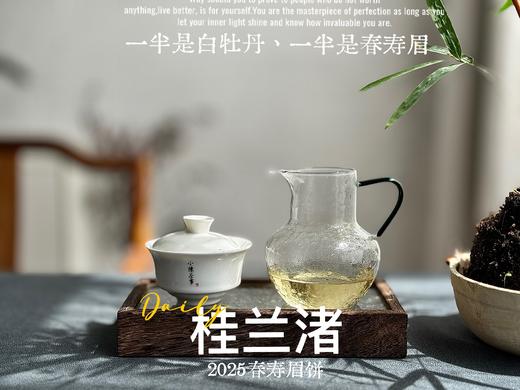 [好茶来了]《桂兰渚》2025春寿眉饼，一半是白牡丹一半是春寿眉的，茶饼，花香更艳，香气更足 商品图10