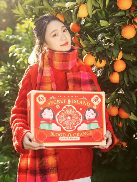 【会员21.5/4颗】李子妃重庆垫江长寿湖血橙 商品图1