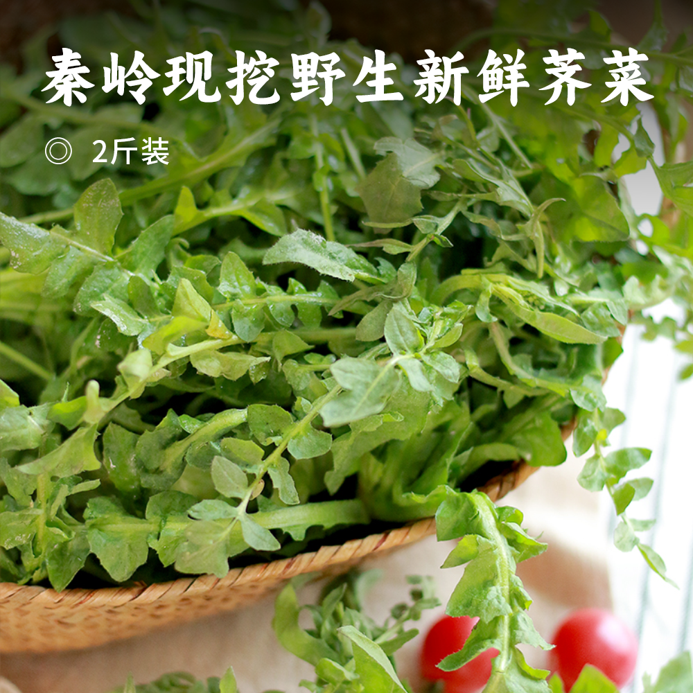 秦岭现挖野生新鲜荠菜 | 人工采摘手工挑选 叶片肥厚香气足 天然无污染 新鲜直达 秋季偏绿 寒冬转深 遇水返青 营养锁鲜