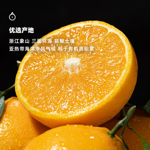 企鹅市集|浙江象山 黄美人 家庭装/礼盒装可选 柔嫩多汁 清新甜蜜 商品图3