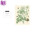 【中商原版】香草和香料 英国皇家植物园口袋书系 英文原版 Kew Pocketbooks Herbs and Spices RBG Kew RBG Kew 商品缩略图2