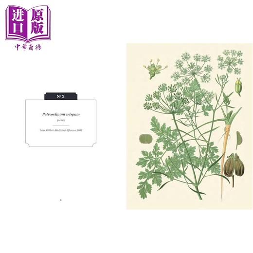 【中商原版】香草和香料 英国皇家植物园口袋书系 英文原版 Kew Pocketbooks Herbs and Spices RBG Kew RBG Kew 商品图2