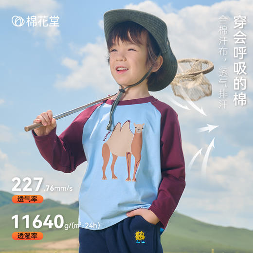 【A类100%全棉针织长袖】棉花堂针织长袖T恤 透气吸湿  不易起球   FA52012YX 商品图1