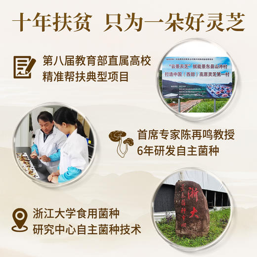 云景天芝牌破壁灵芝孢子粉30g/盒装·浙江大学自研技术·水培灵芝·0农残·云南高原灵芝栽培基地·含量高（顺丰包邮） 商品图2