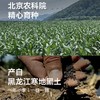 [屁侠推荐]下厨房 双生蜜糯玉米 北京农科院玉米研究中心新品种  220g/根 周四 商品缩略图4