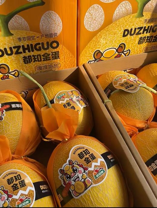 【会员31.5/颗】都知金蛋恐龙蛋黄皮哈密瓜 商品图0