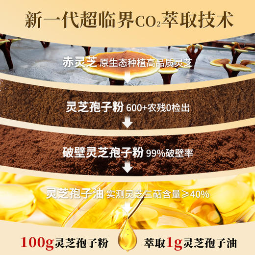 5周年特惠：云景天芝灵芝孢子油软胶囊·超临界萃取·高三萜超40%·浙江大学自研菌种80粒/瓶 商品图4