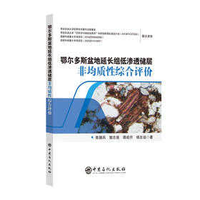 【官方旗舰店】鄂尔多斯盆地延长组低渗透储层非均质性综合评价