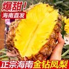19.9秒3斤🔥【海南金钻凤梨】现摘现发，金黄诱人，香甜扑鼻，无需挖孔，无需泡盐水，去皮即食！水果手撕凤梨新鲜无眼台湾香水菠萝 商品缩略图0