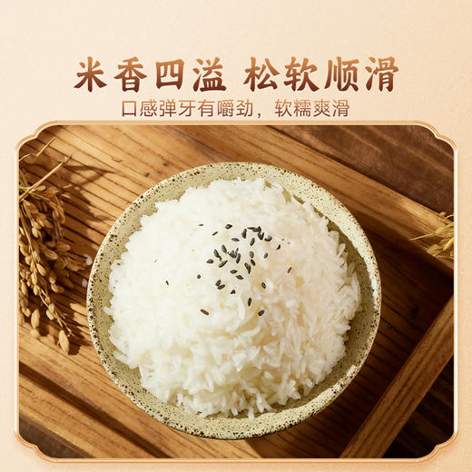 【贵州帮扶】山水盼盼丨贵州人家梯田大米 5kg （仅发广东省内） 商品图2