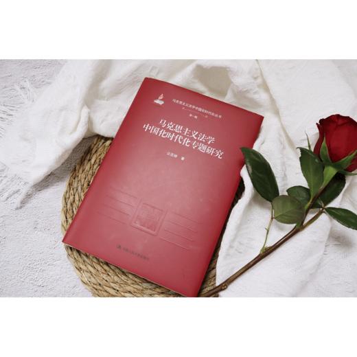 马克思主义法学中国化时代化专题研究/公丕祥 商品图2