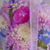 《槿紫》蝴蝶兰牡丹菊海洋之歌亚克力礼盒长25×宽25×高27（cm） 商品缩略图4