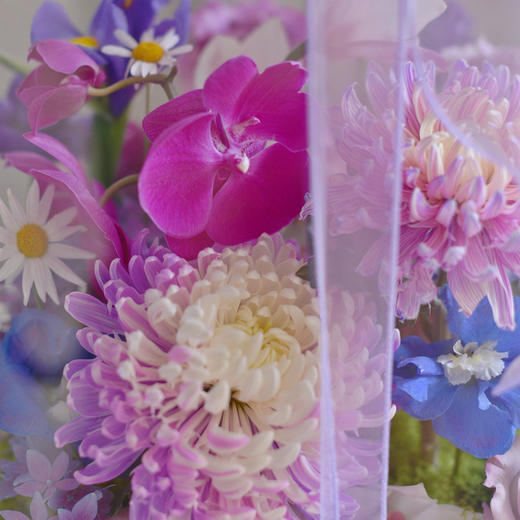 《槿紫》蝴蝶兰牡丹菊海洋之歌亚克力礼盒长25×宽25×高27（cm） 商品图4