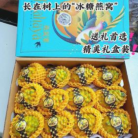 【顺丰礼盒包邮】海南 稀有黄金燕窝果 2斤/4斤 新鲜当季甜热带高端水果