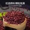 【养生佳品】古田 红曲米 食物他汀 食疗养生 熬粥 泡茶 食用色素 烘焙 400g/罐 包邮 商品缩略图2